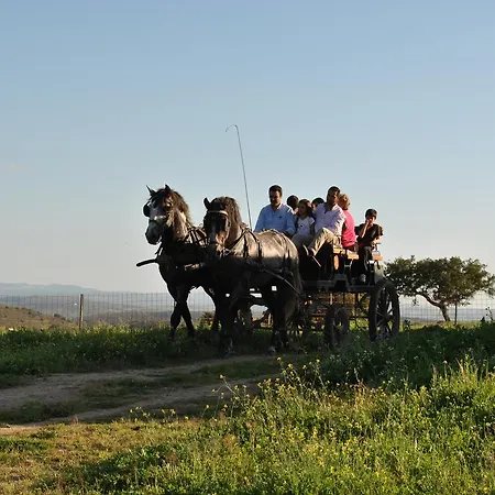 La Giralda 4* Burguillos Del Cerro